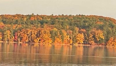 Fall foliage along the Maranacook Lake shoreline