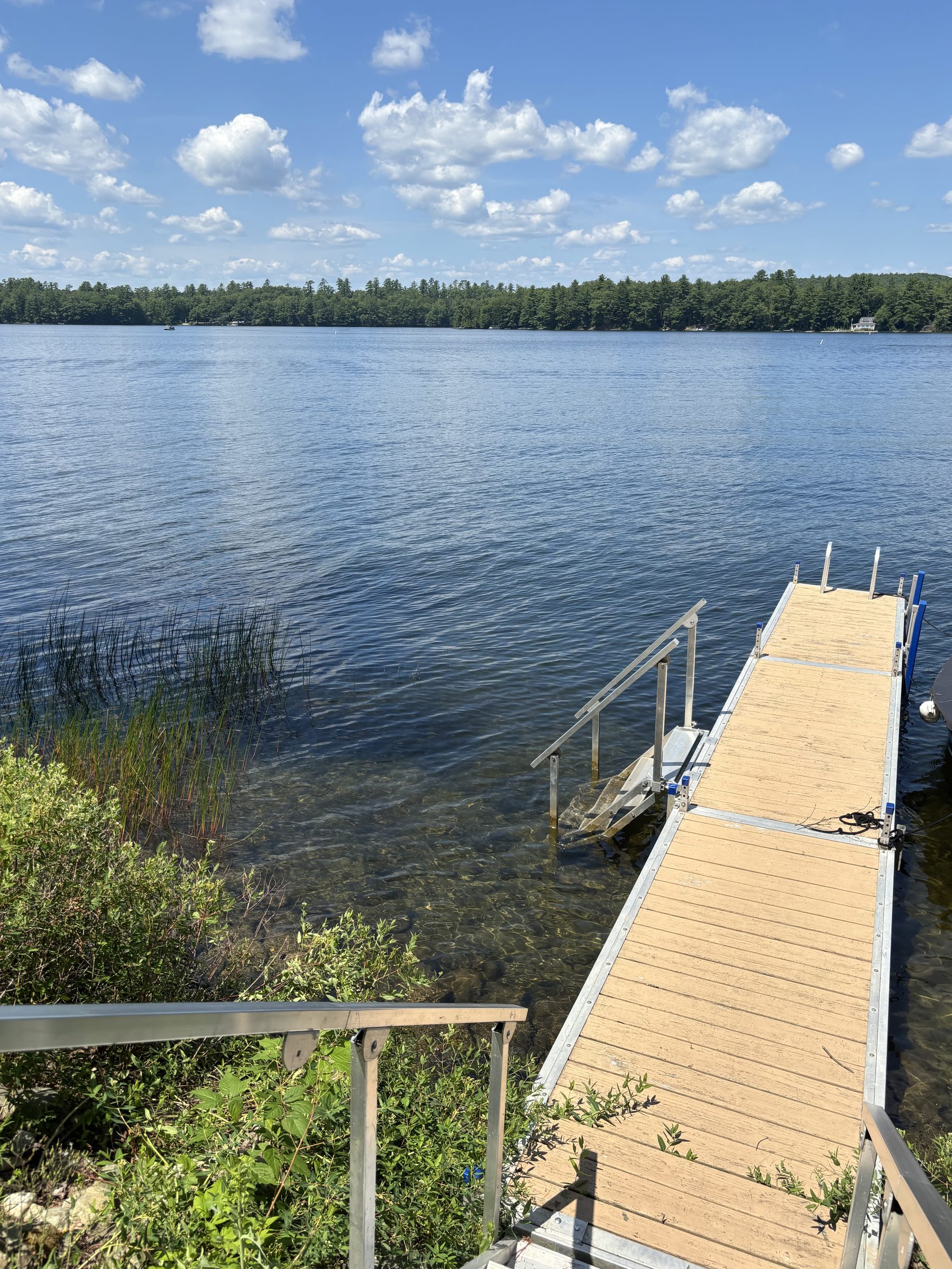 Dock stairs and reeds along the shoreline